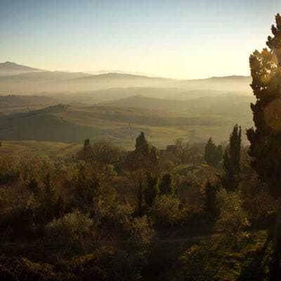 Boleira Ou Com Cúpula Com Pé Linha Sense